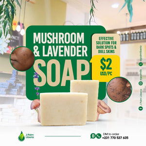 Mushroom & Lavender Clarifying Soap Bars